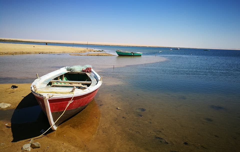El Fayoum Overday Trip from Cairo or Giza 