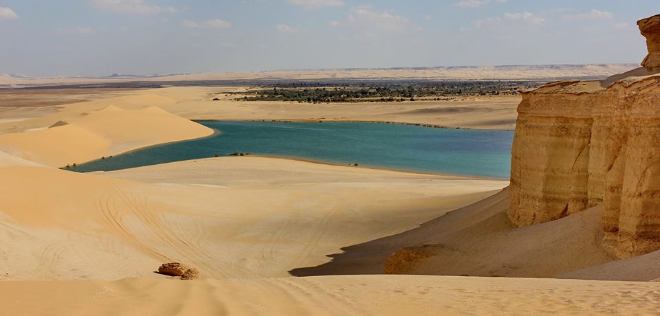 El Fayoum Overday Trip from Cairo or Giza 