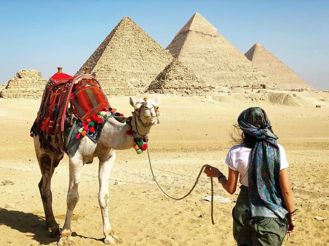 Pyramids , The Nile  Aswan &  Luxor  , Baharia Oasis  14 Nights / 15 Days 