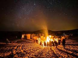 Baharia  Oasis Safari at The Back and White Desert 