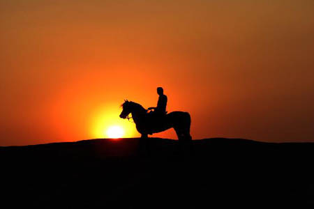 Explore The Sunset or Sunrise at Giza Pyramids By camel or  horse riding 