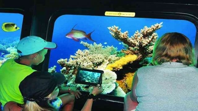 Submarine Trip in Hurghada 