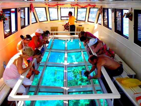 Glass Boat , Tube Boat Riding & Parasailing