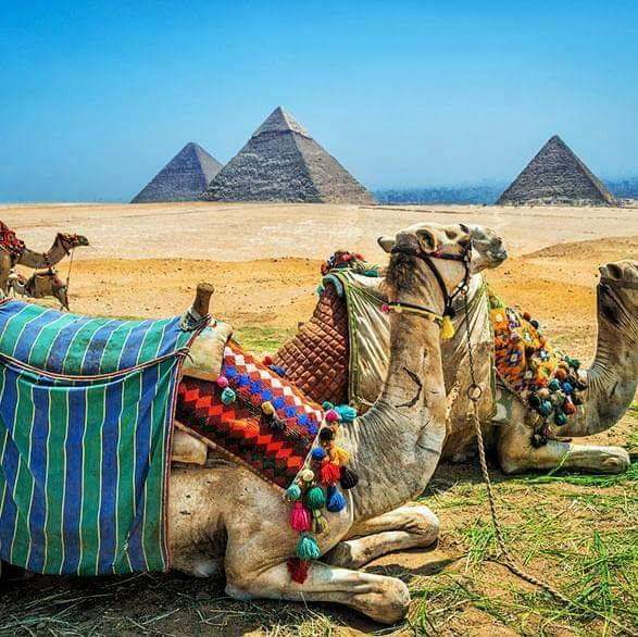 Over Day to Cairo From Sharm El Sheikh By Flight