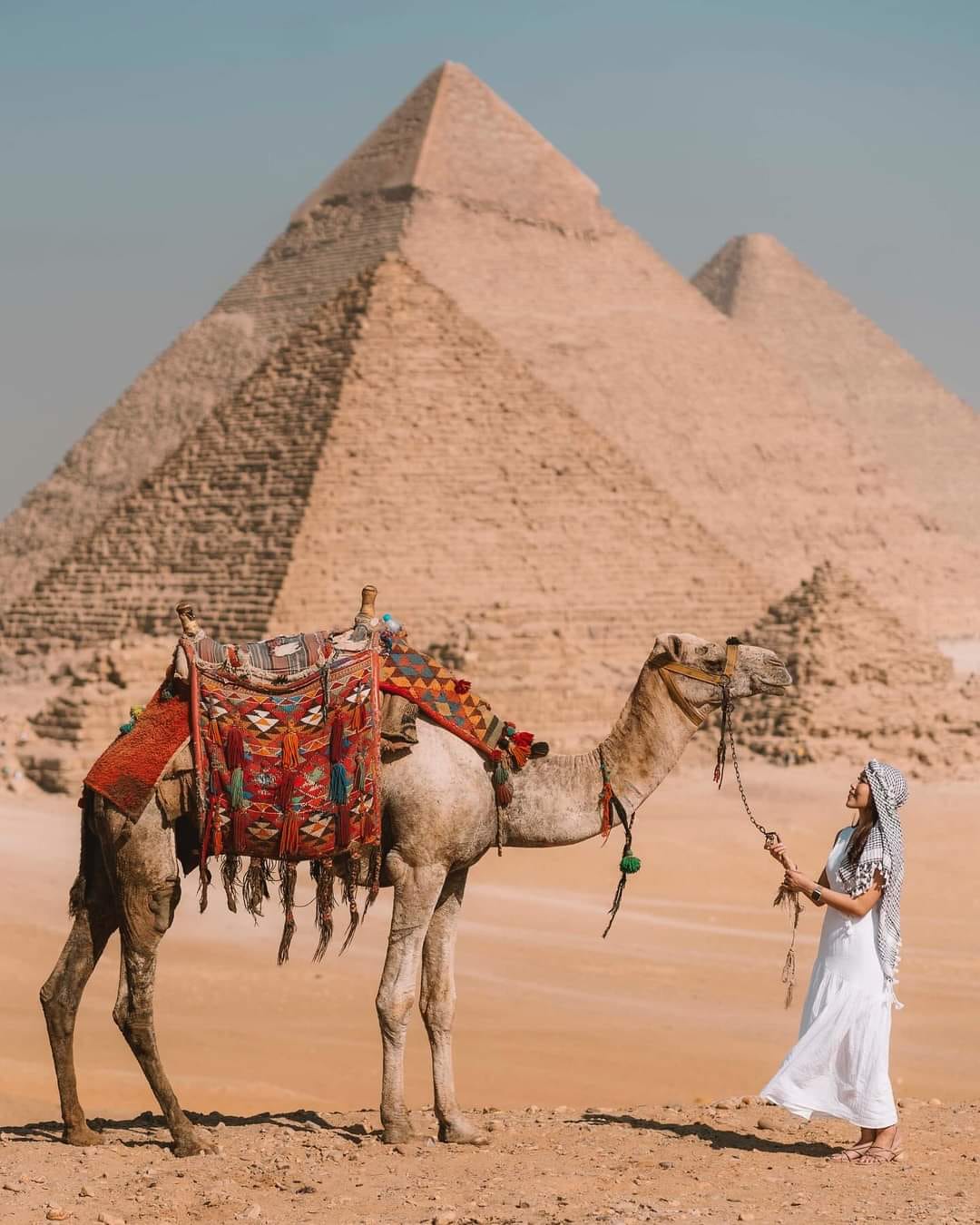 12 Days - Luxury Cairo, Nile Cruise & Sharm El Sheikh Red Sea